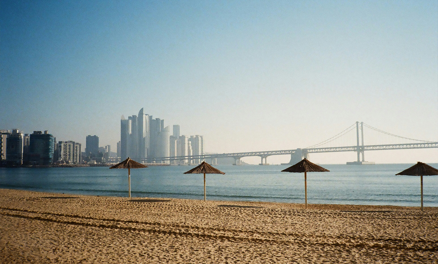 Busan Back, No Cap